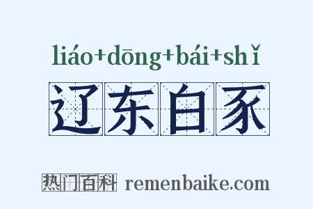 辽东白豕是什么意思的图片